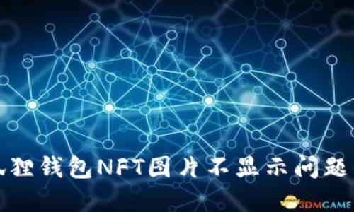 解决小狐狸钱包NFT图片不显示问题的全攻略