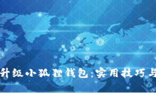 如何快速升级小狐狸钱包：实用技巧与方法解析