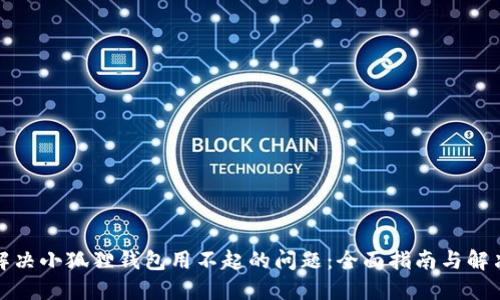 如何解决小狐狸钱包用不起的问题：全面指南与解决方案