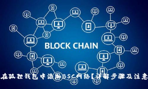 如何在狐狸钱包中添加BSC网络？详解步骤及注意事项